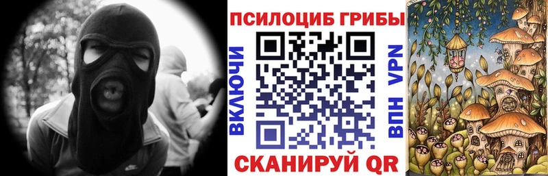 купить наркотики сайты  Тимашёвск  Галлюциногенные грибы Psilocybine cubensis 